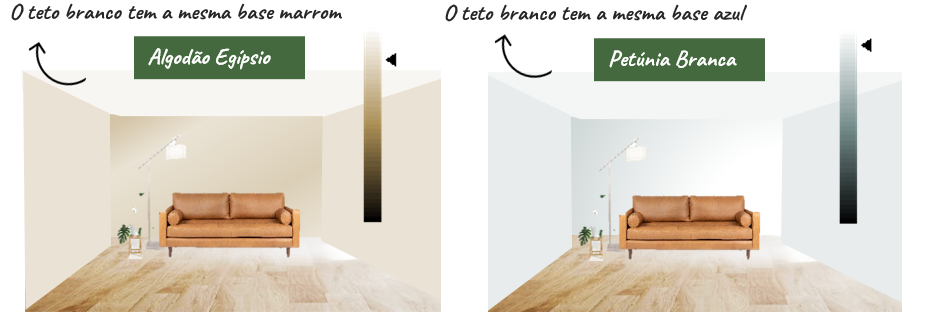 Como iluminar uma casa com luz natural