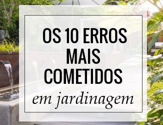 Os dez erros mais cometidos em jardinagem