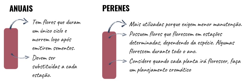 como montar um jardim