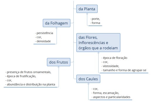 como escolher as plantas para o projeto de jardim