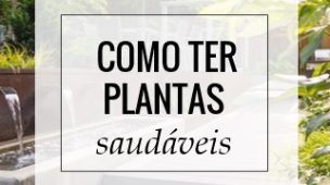 como ter plantas saudáveis