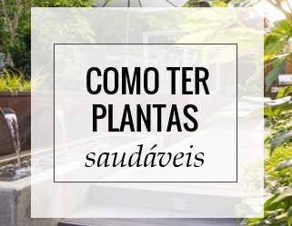 Como ter plantas saudáveis e viçosas no jardim