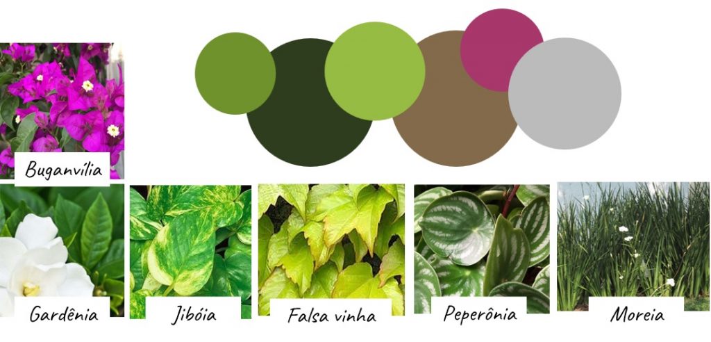 Técnicas para jardins estreitos